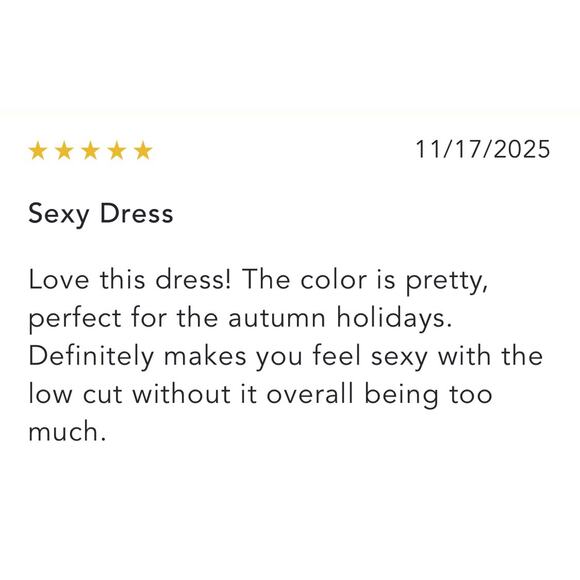 Anthropologie Womens Dress Red V-Neck Ruched Size XL Mesh Midi Fitted Pullover - Picture 11 of 16